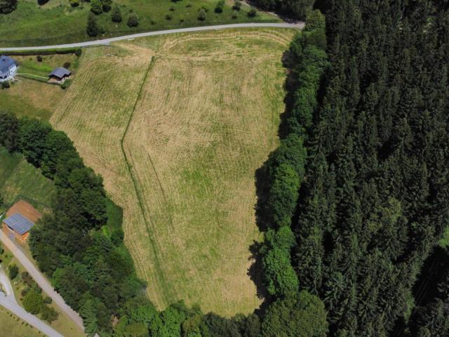 Immobilie kaufen in Eitweg, Kärnten