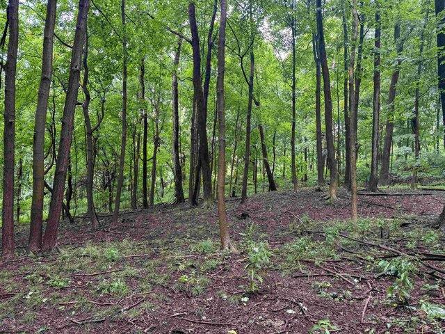 Land for sale in Wheeling, West Virginia