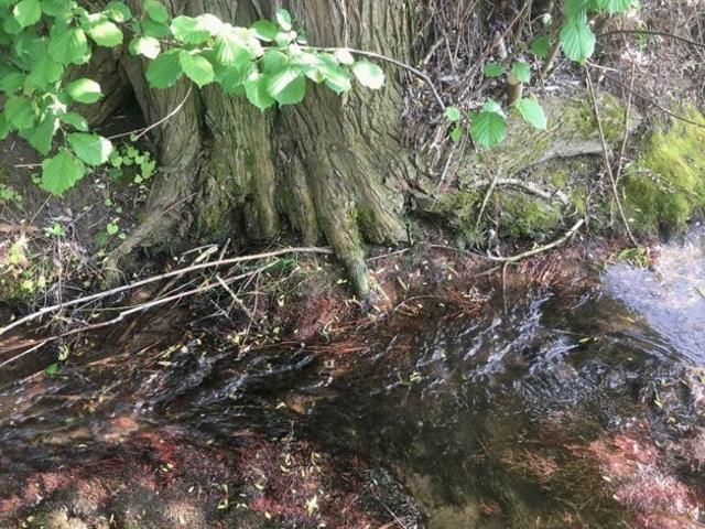 Erdgeschosswohnung kaufen in Winden am Aign, Reichertshofen