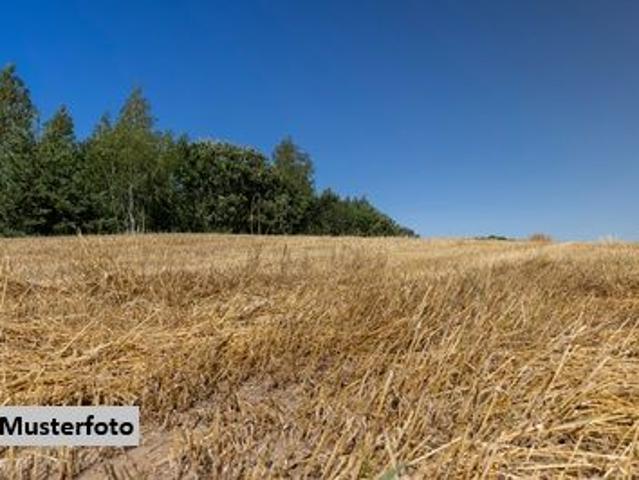 Grundstück kaufen in Illmitz, Burgenland