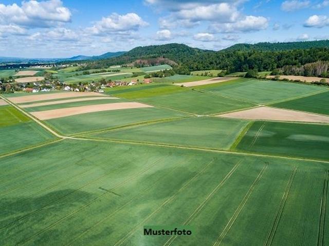 Grundstück kaufen in Illmitz, Burgenland