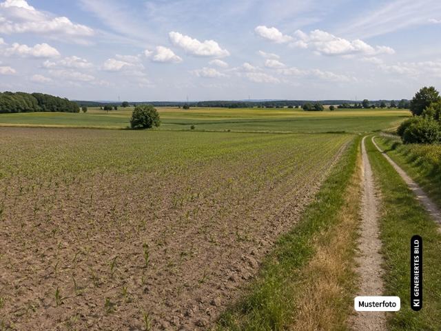 Landwirtschaft kaufen in Merl, Zell (Mosel)