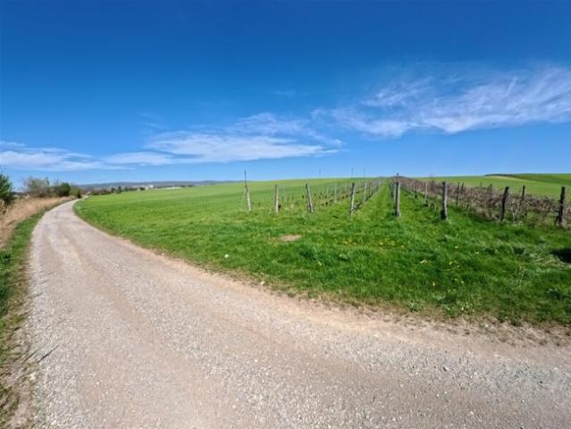 Grundstück kaufen in Siegendorf, Burgenland