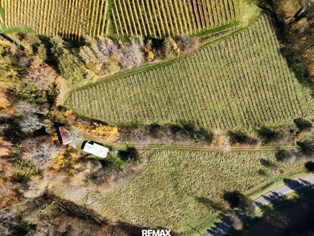 Landwirtschaft kaufen in Gamlitz, Steiermark