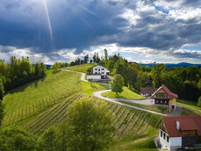 Gewerbe kaufen in Deutschlandsberg, Steiermark