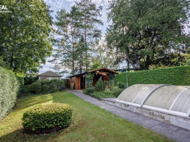Haus kaufen in Hollabrunn, Niederösterreich