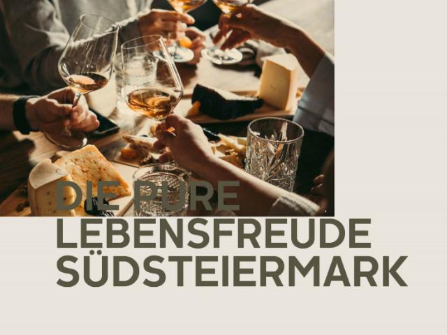 Wohnung kaufen in Ehrenhausen, Steiermark