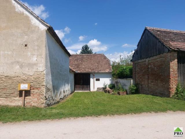 Einfamilienhaus kaufen in Eggendorf im Thale, Eggendorf