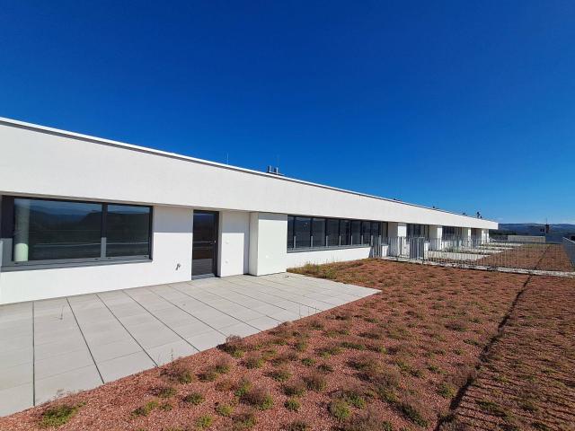 Apartment kaufen in Krems an der Donau, Niederösterreich