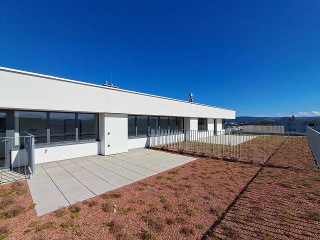 Apartment kaufen in Krems an der Donau, Niederösterreich