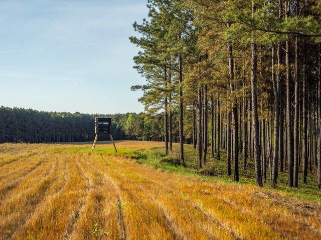 Land for sale in Choctaw, Mississippi