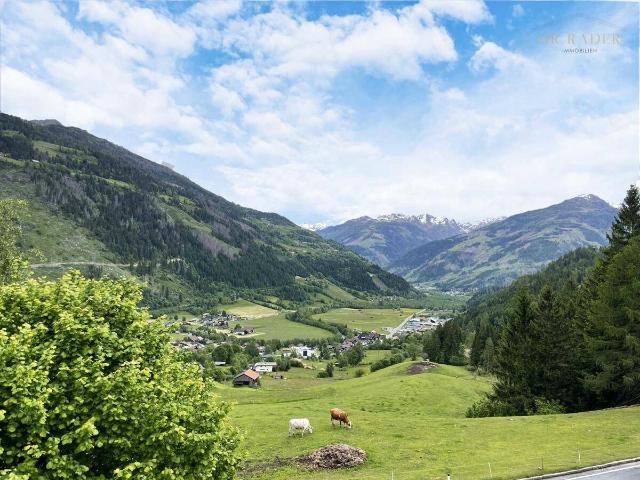 Apartment kaufen in Winklern, Kärnten