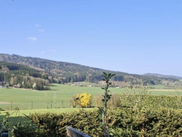 Grundstück kaufen in Berg im Attergau, Oberösterreich