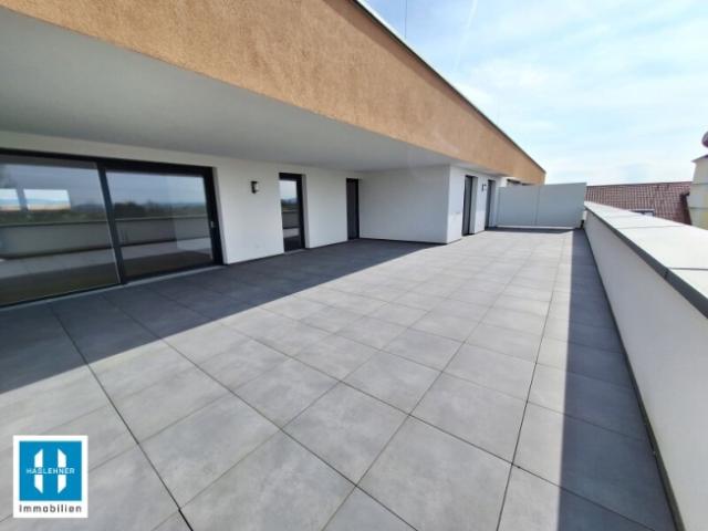 Penthouse kaufen in Pupping, Oberösterreich