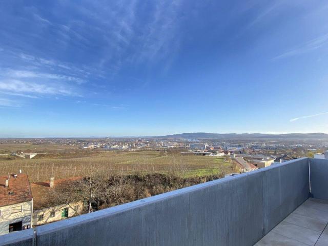 Apartment kaufen in Am Steindl, Krems an der Donau