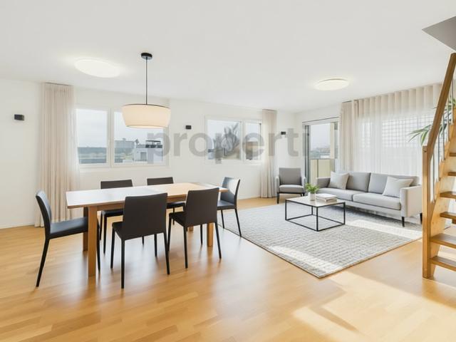 Attikawohnung kaufen in Wetzikon (ZH), Zürich