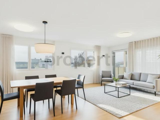 Wohnung kaufen in Wetzikon (ZH), Zürich
