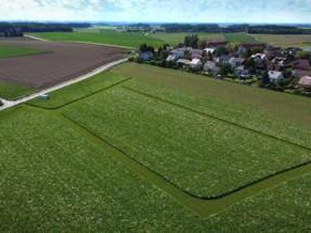 Immobilie kaufen in Sierning, Oberösterreich