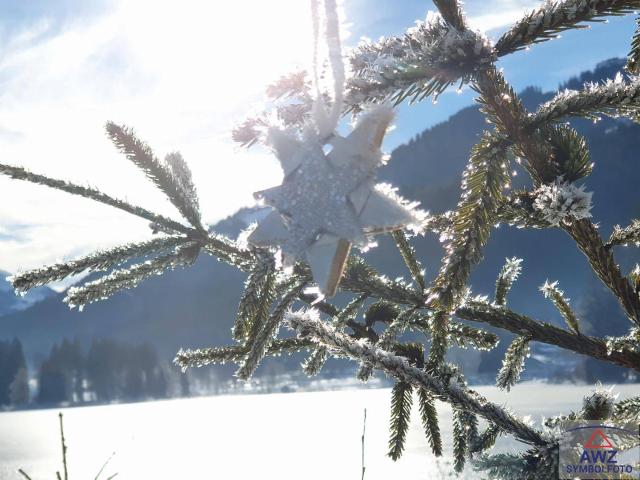 Immobilie kaufen in Ossiach, Kärnten