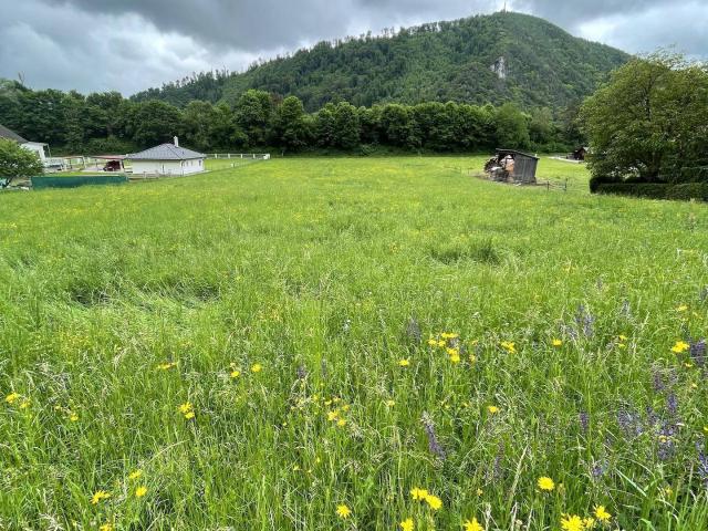 Immobilie kaufen in Gratkorn, Steiermark