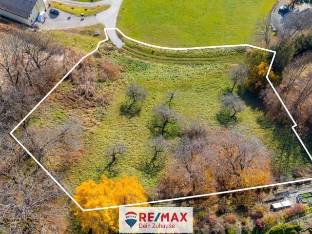 Immobilie kaufen in Feldkirchen in Kärnten, Kärnten