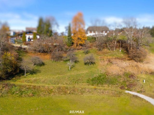 Immobilie kaufen in Laboisen, Feldkirchen in Kärnten