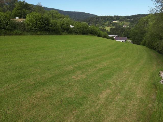 Immobilie kaufen in Klaffer am Hochficht, Oberösterreich