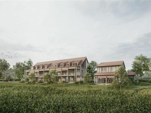Einfamilienhaus kaufen in Affeltrangen, Thurgau