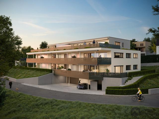 Attikawohnung kaufen in Gränichen, Aargau