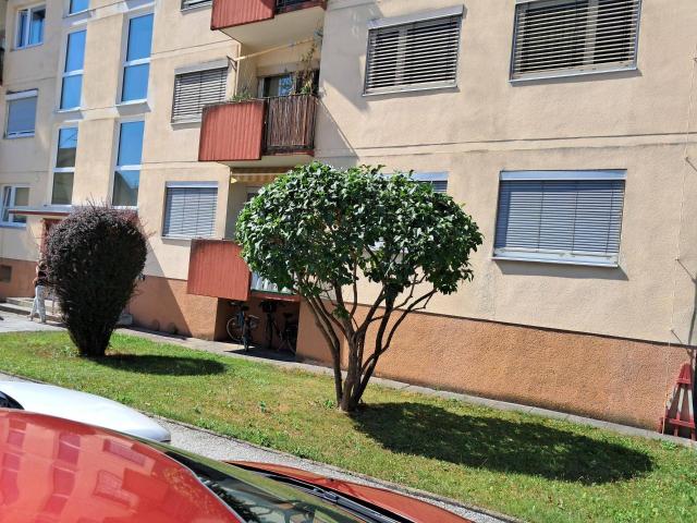 Apartment kaufen in Weiz, Steiermark