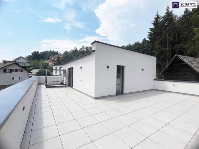 Wohnung kaufen in Weiz, Steiermark