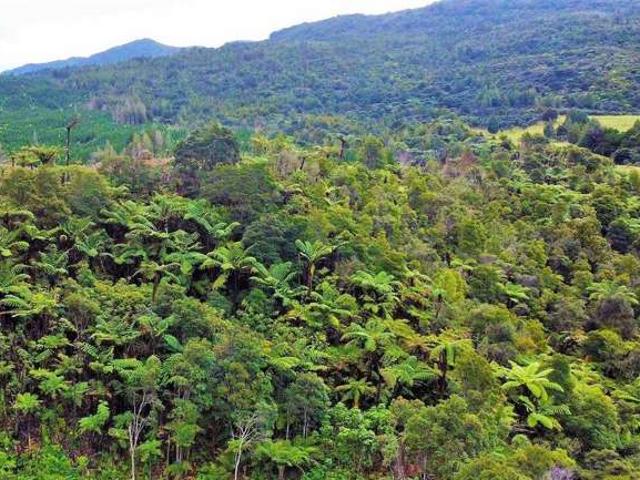 Property for sale in Ohaeawai, Northland
