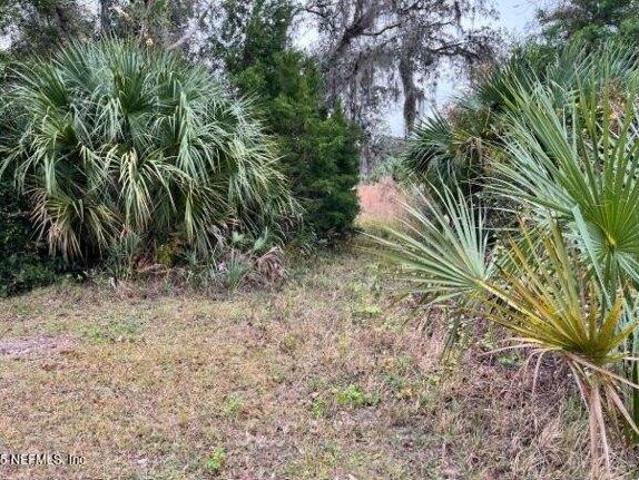 Land for sale in Welaka Land for sale in Welaka