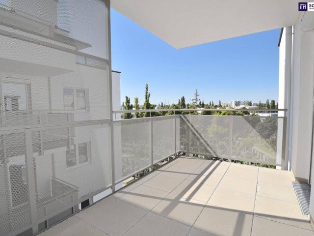 Apartment mieten in Klein-Schwechat, Schwechat