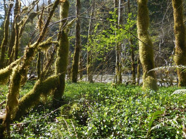 Land for sale in Oregonia