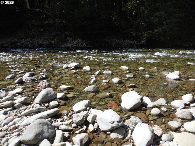 Land for sale in Oregonia