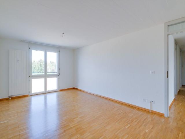 Apartment mieten in Rheinfelden, Aargau