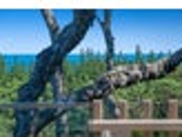 House for sale in Kawau Island