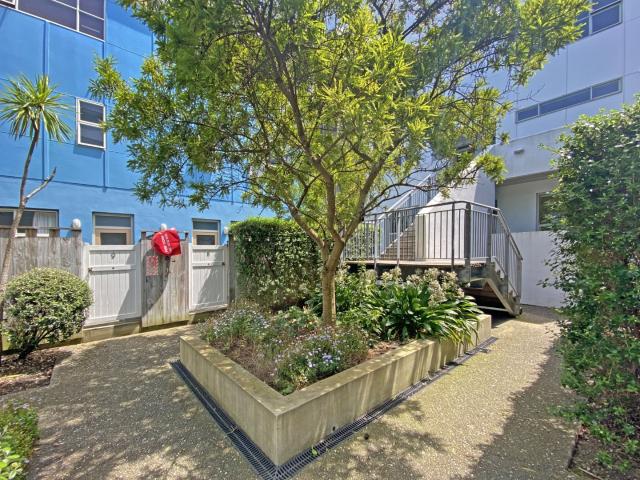Apartment for rent in Mount Cook, Wellington
