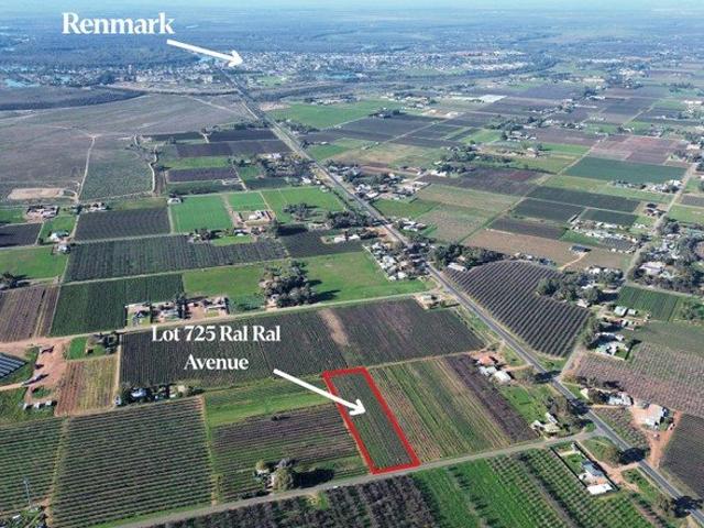 Land for sale in Renmark West, South Australia
