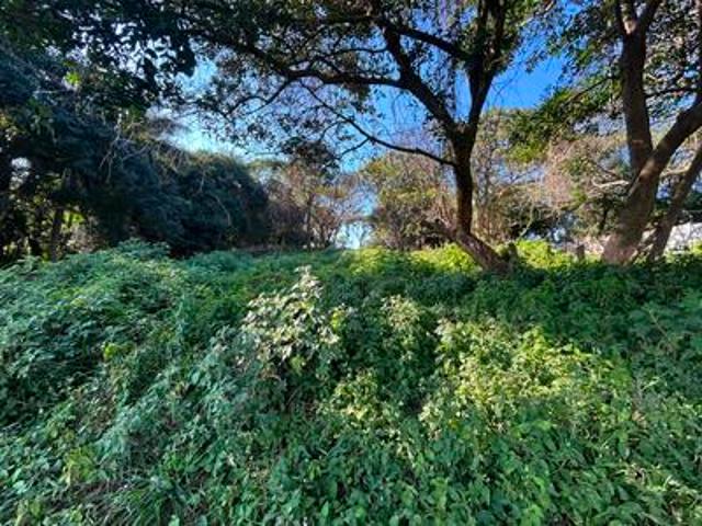 Land for sale in Mtunzini, Kwazulu-natal