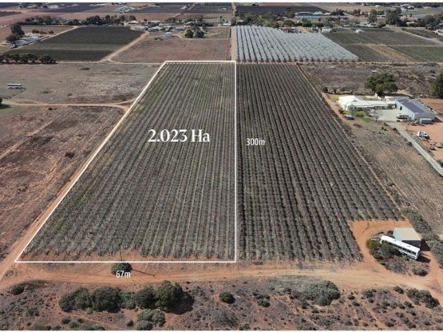 Land for sale in Renmark West, South Australia