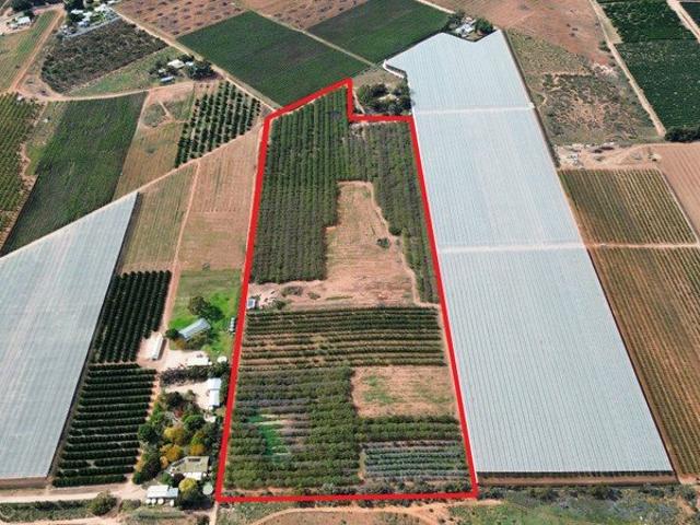 Land for sale in Cooltong, South Australia