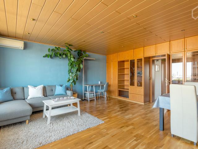 Apartment mieten in Zentrum, Offenbach am Main