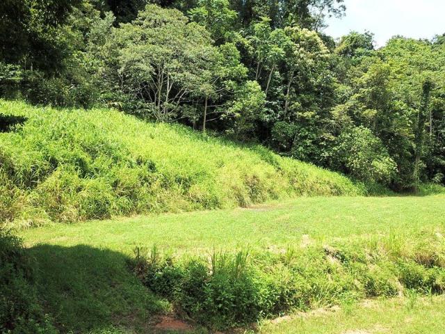 Land for sale in Redlynch, Queensland