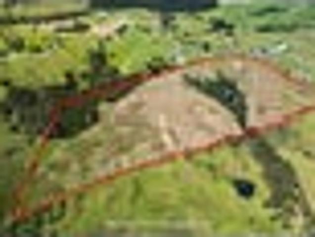 Land for sale in Northland