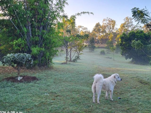 Cottage for sale in Rosedale, Gladstone Regional