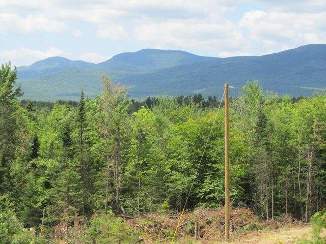 Land for sale in Weld, Maine
