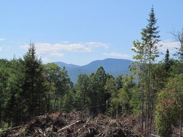 Land for sale in Weld, Maine
