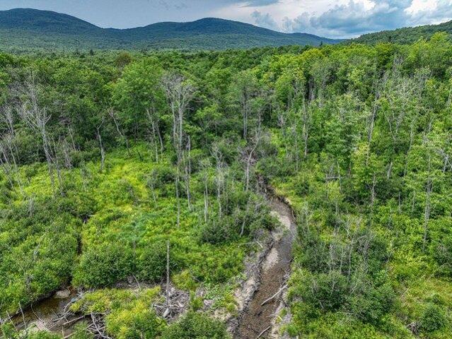 Land for sale in Chase Corner, Weld